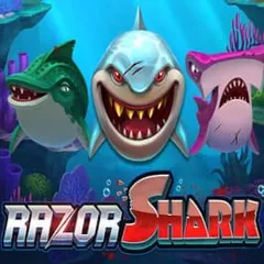 Razor Shark at Christchurch Casino